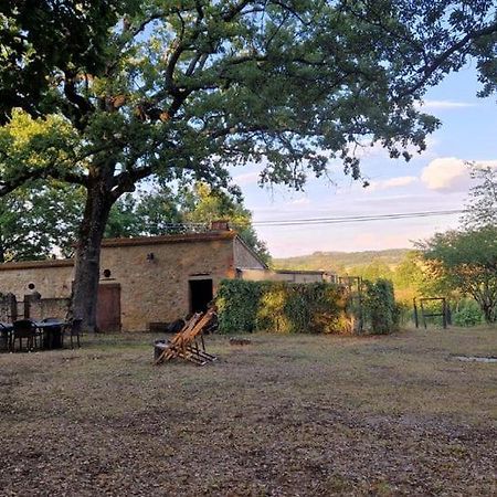 Agriturismo Torrenieri Da Alessandro Pienza Eksteriør bilde