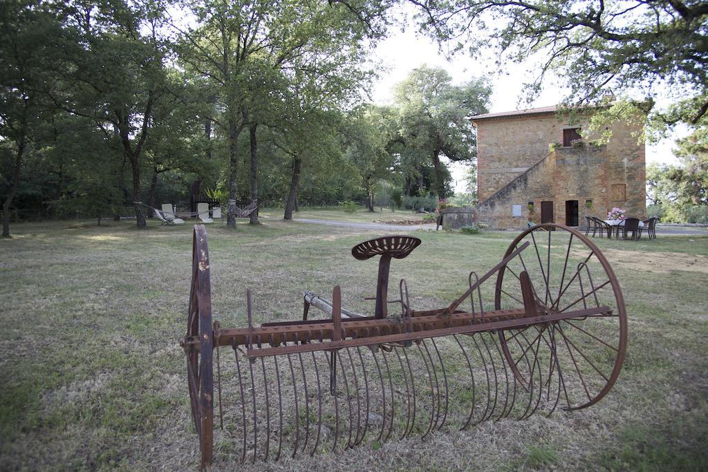 Agriturismo Torrenieri Da Alessandro Pienza Eksteriør bilde