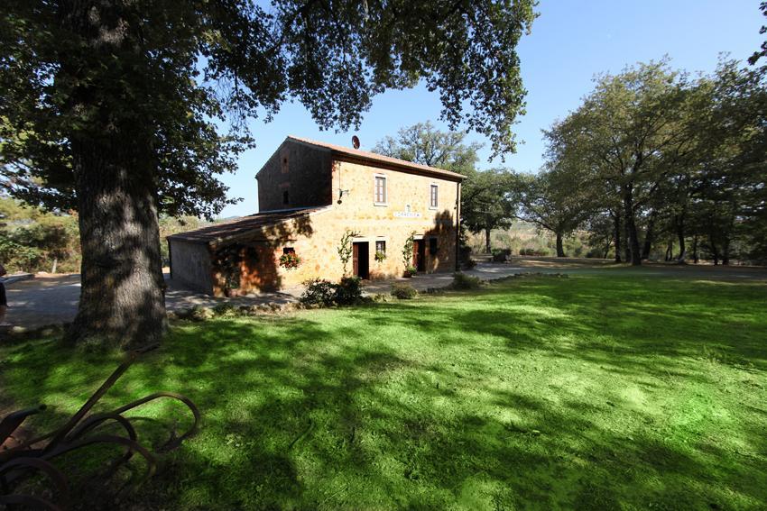 Agriturismo Torrenieri Da Alessandro Pienza Eksteriør bilde