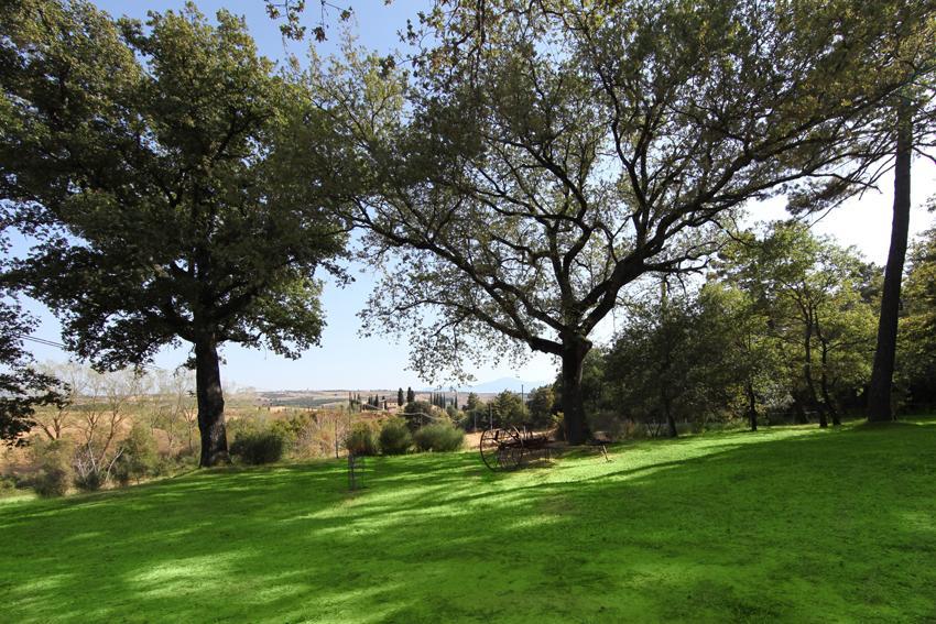 Agriturismo Torrenieri Da Alessandro Pienza Eksteriør bilde