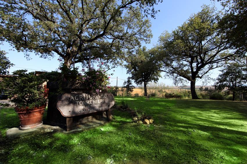 Agriturismo Torrenieri Da Alessandro Pienza Eksteriør bilde