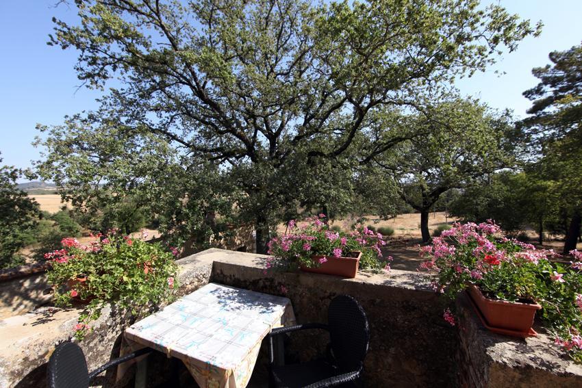 Agriturismo Torrenieri Da Alessandro Pienza Eksteriør bilde