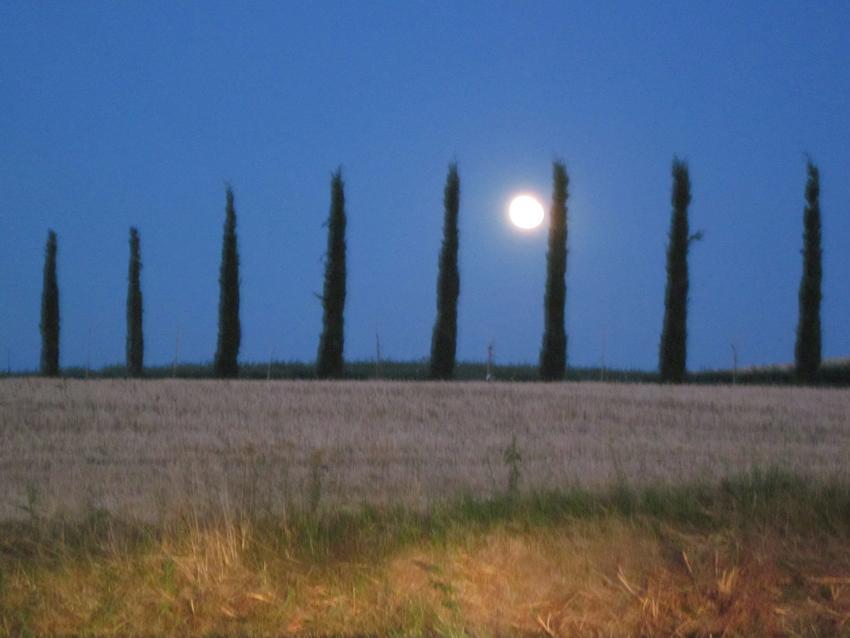 Agriturismo Torrenieri Da Alessandro Pienza Eksteriør bilde