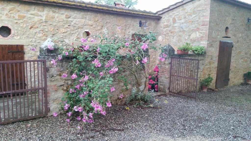Agriturismo Torrenieri Da Alessandro Pienza Eksteriør bilde